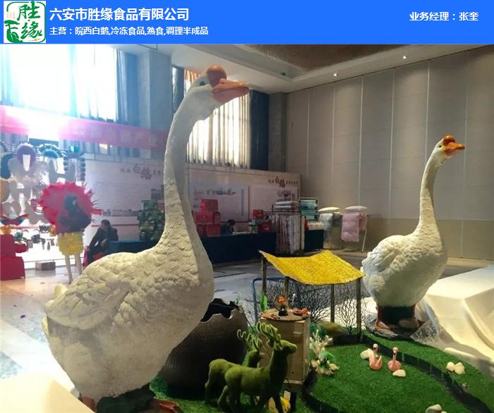 熱烈慶祝2019皖西白鵝美食節(jié)取得圓滿成功！